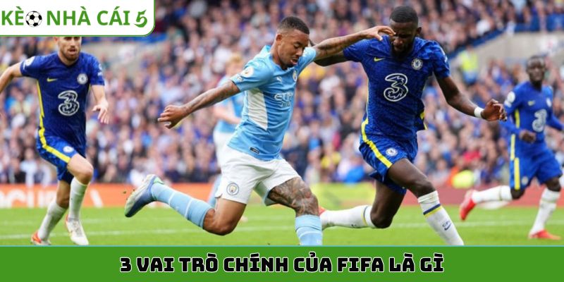 3 vai trò chính của FIFA là gì