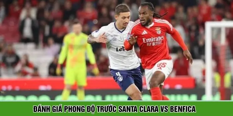 Đánh giá phong độ khi dự đoán Santa Clara vs Benfica